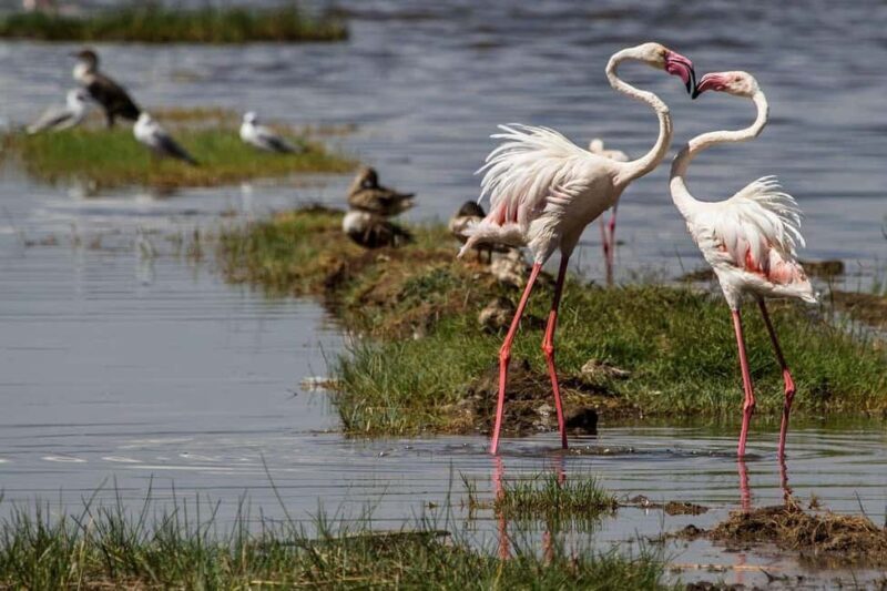 From Nairobi: Overnight Lake Nakuru & Hell's Gate Park - FAQs