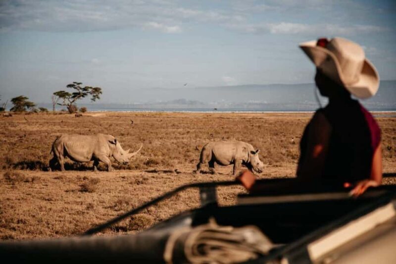 From Nairobi: Overnight Ol Pejeta Conservancy Safari - Practical Tips & Considerations