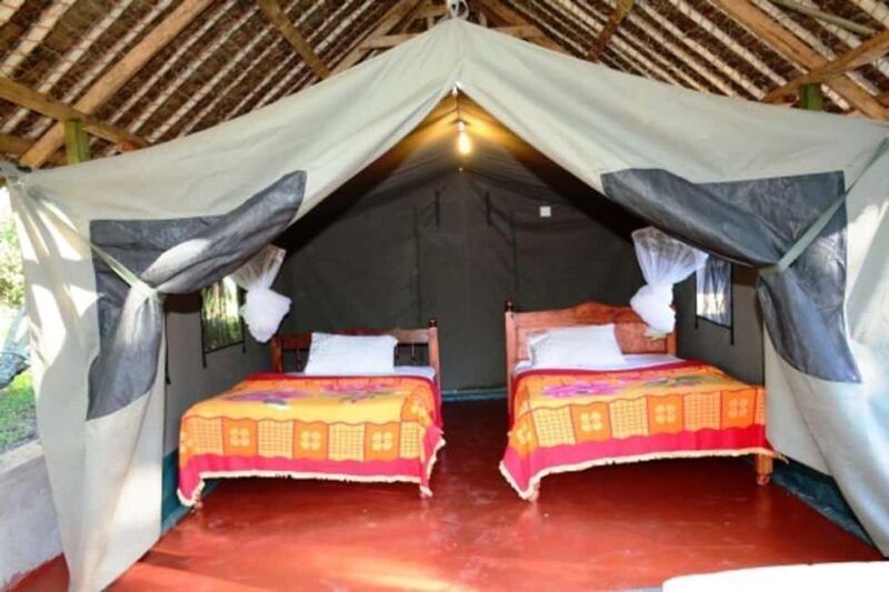 From Nairobi Safari: 4-Day Maasai Mara and Lake Nakuru - Key Points