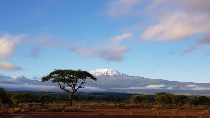 From Nairobi: Trip to Mount Longonot National Park - A Practical Guide to the Mount Longonot Day Trip