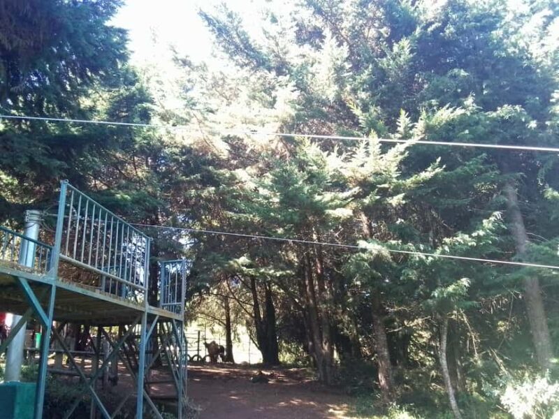 From Nairobi: Zipline Adventure Safari - Key Points