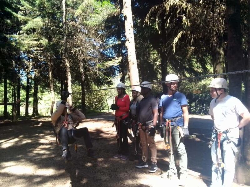 From Nairobi: Zipline Adventure Safari - Setting the Scene: What’s the Experience Like?