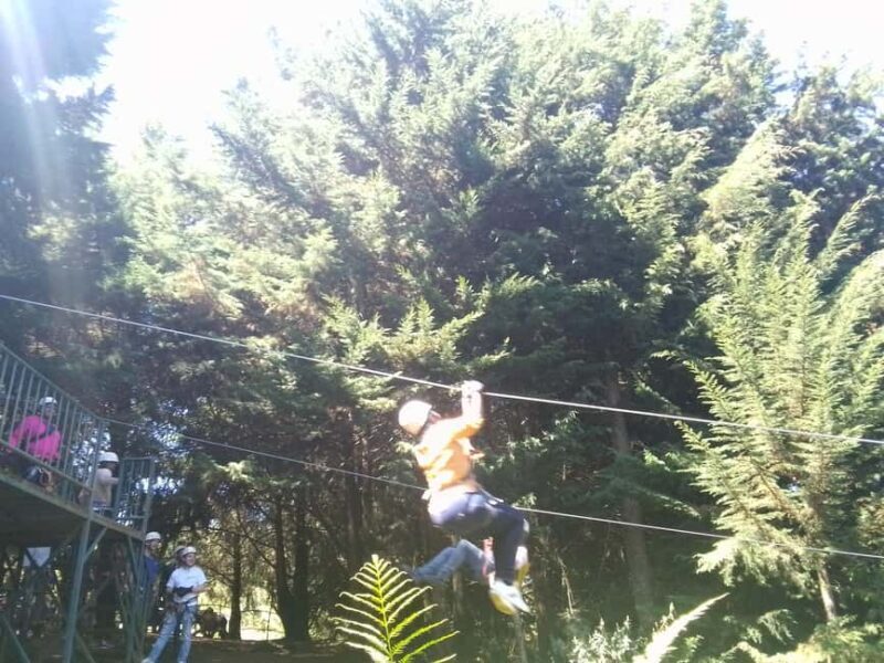 From Nairobi: Zipline Adventure Safari - Who Will Love This Tour?