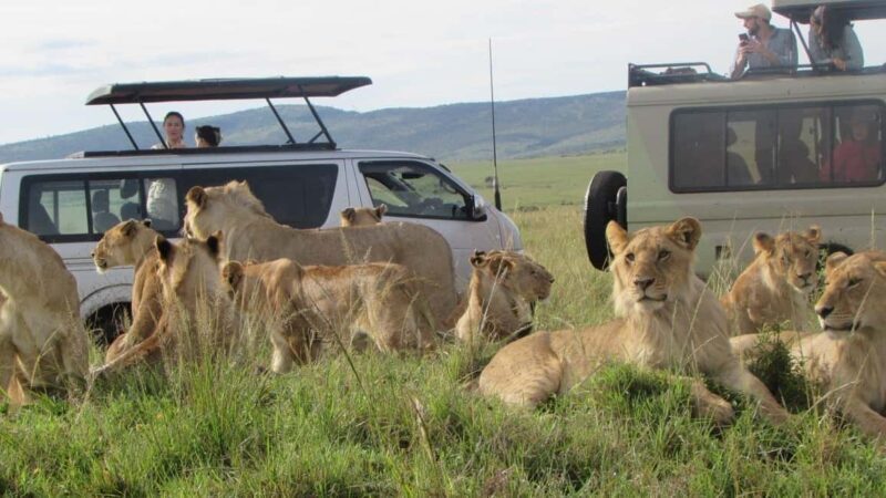 From Nairobi:3-Days 2-Nights Maasai Mara Group Safari in 4WD - Practical Considerations