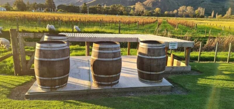 From Napier: Hawke's Bay Small Group Wine Capita Tour - Who Is This Tour Best For?