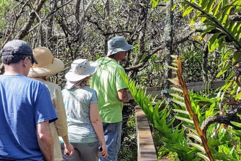 From Naples: 10,000 Islands Boat Trip & Everglades Walk! - The Sum Up: Who benefits most from this tour?