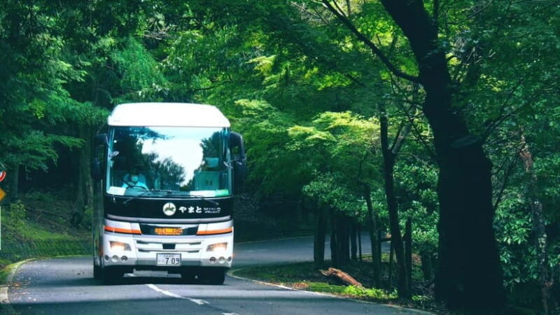 From Nara:Half-Day Bus Tour to UNESCO Heritage&Mt. Wakakusa - Exploring the Itinerary in Detail