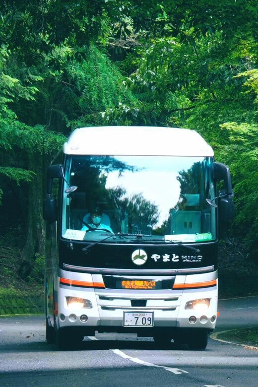 From Nara:Half-Day Bus Tour to UNESCO Heritage&Mt. Wakakusa - The Sum Up
