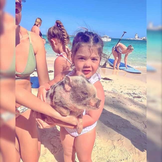 From Nassau: Swim with Pigs Safari - Who Will Love This Tour?