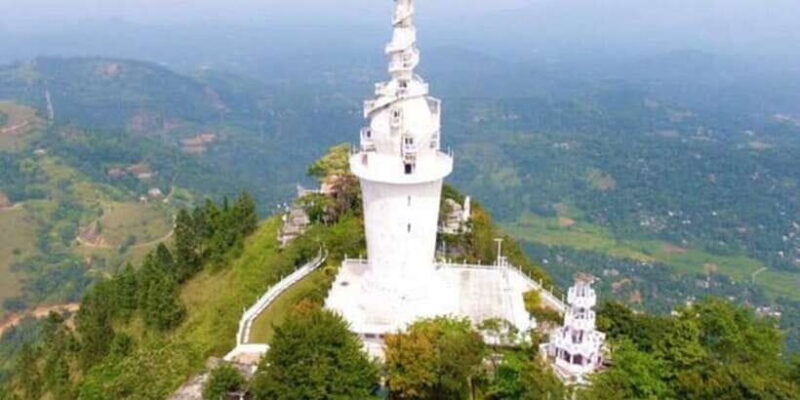 From Negombo: Ambuluwawa Tower & Tea Factory,Kandy Day Trip - An In-Depth Look at the Tour Experience