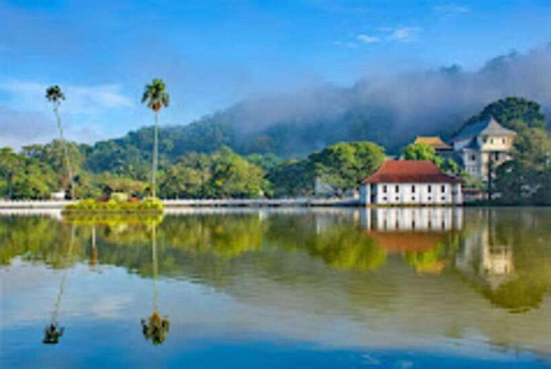 From Negombo : Pinnawala & Tea Factory & Kandy Full Day Trip - Who Will Love This Tour?