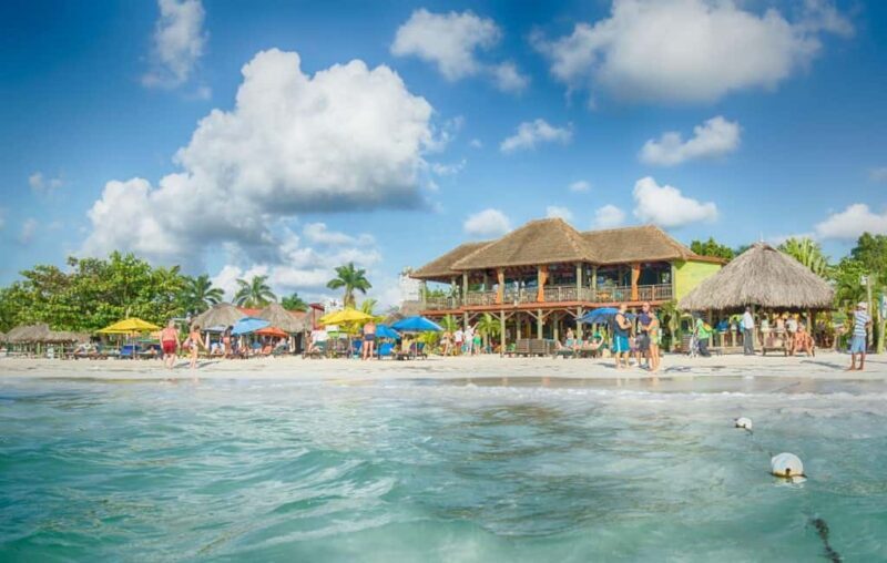 From Negril/Palladium: Negril Beach and Ricks Cafe Tour - A Closer Look at the Tour Experience