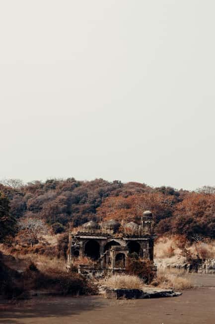 From New Delhi: 2-Day Ranthambore Tiger Safari with tranfers - What to Expect from This 2-Day Jungle Adventure