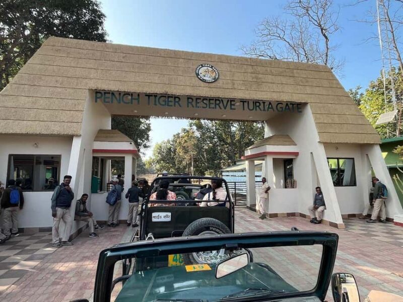 From New Delhi: 2-Day Ranthambore Tiger Safari with tranfers - Who Will Love This Tour?