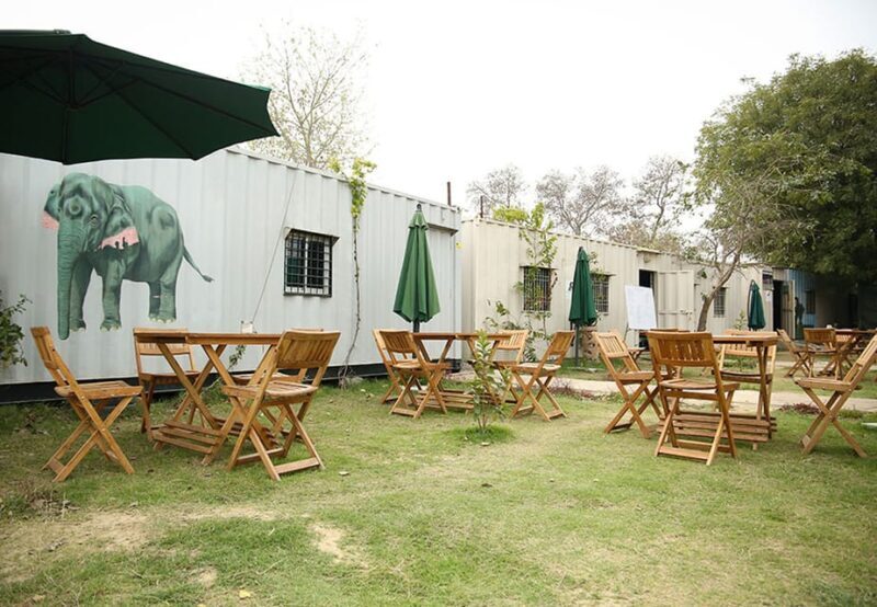 From New Delhi: Taj Mahal and Elephant Conservation Centre - Who Will Love This?