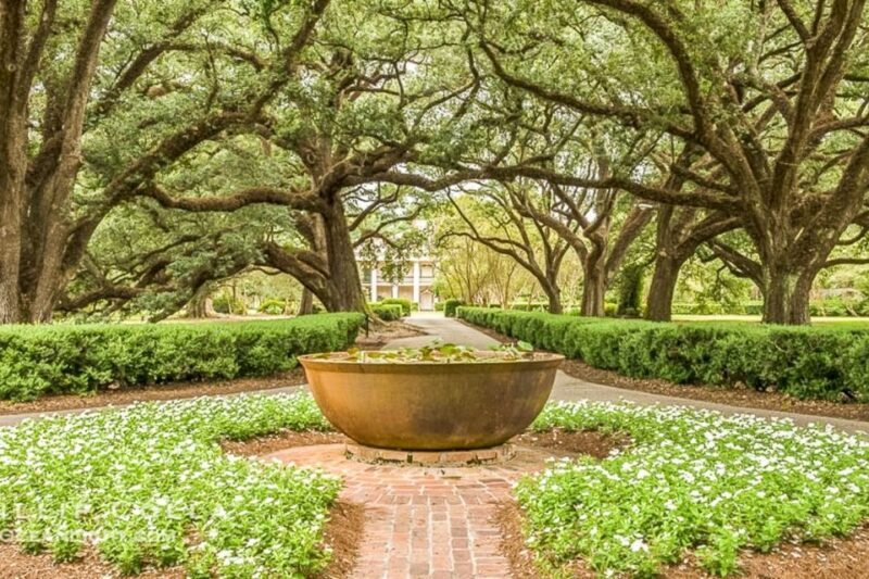 From New Orleans: Oak Alley Plantation Tour - An In-Depth Look at the Oak Alley Plantation Tour