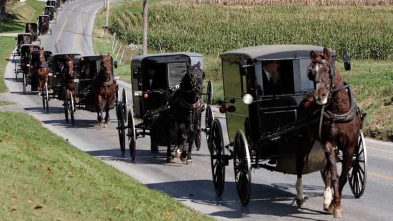 From New York City: Philadelphia & Amish Community Day Trip - Practical Details & Value