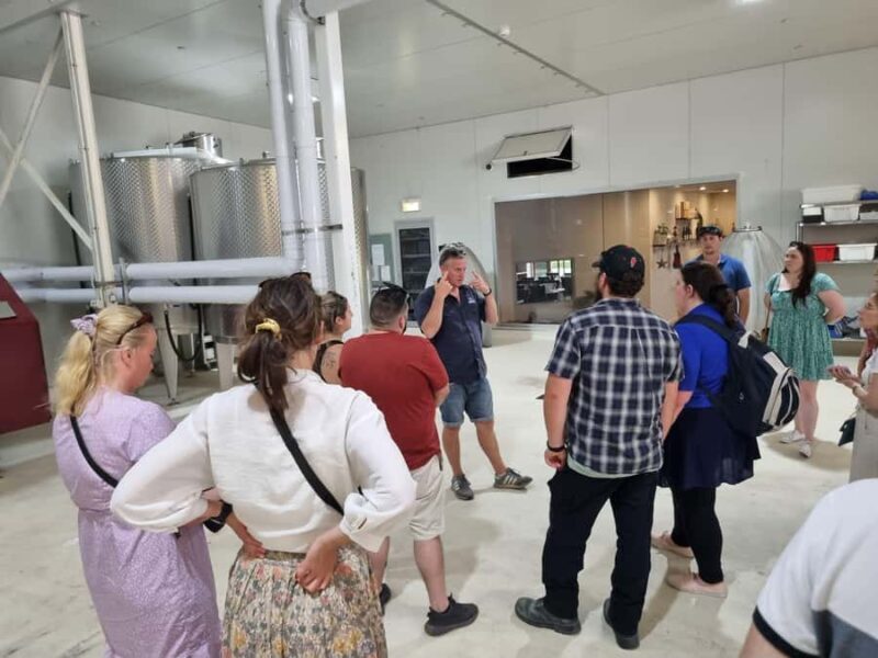 From Newcastle: Hunter Valley Beer & Wine Group Tour - The Journey Begins: From Newcastle to the Hunter Valley