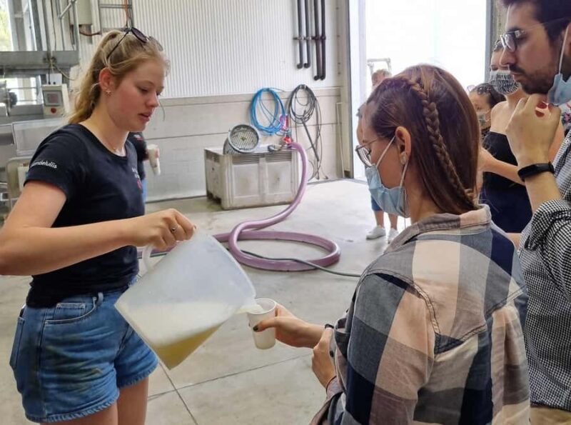From Newcastle: Hunter Valley Beer & Wine Group Tour - Final Thoughts