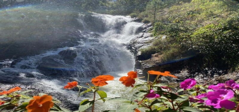 From Nha Trang: Best Seller Top Site Luxury Da Lat City Trip - Who Would Enjoy This Tour