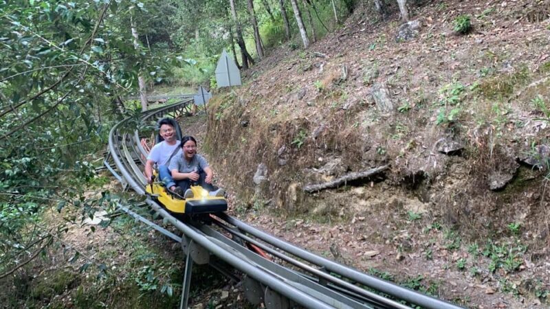 From Nha Trang: Day Trip to Dalat with Datanla Waterfall - Genuine Feedback from Travelers
