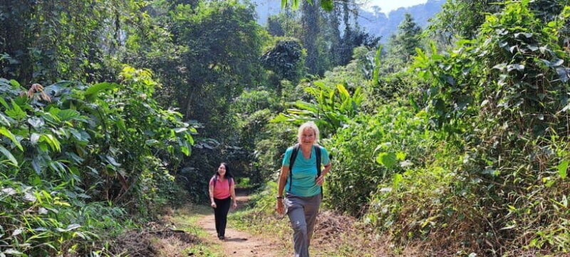 From Ninh Binh: Cuc Phuong National Park 1-Day Small Group - FAQ