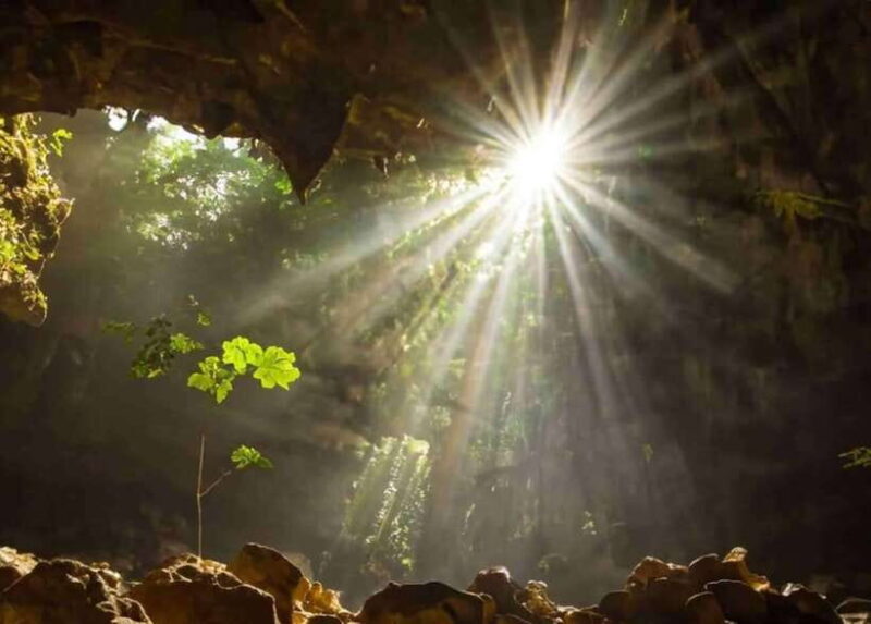 From Ninh Binh: Cuc Phuong National Park Day Trip - An Overview of the Cuc Phuong Day Trip