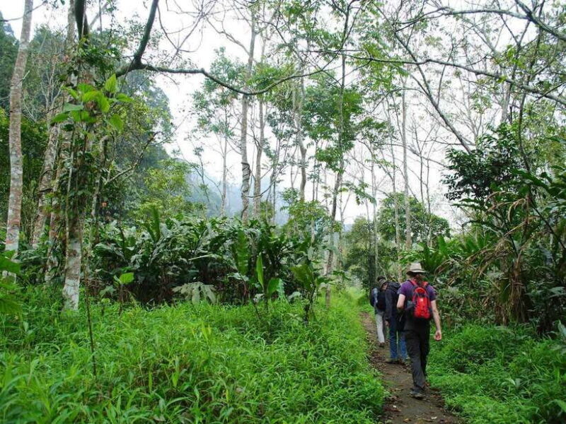 From Ninh Binh: Cuc Phuong National Park Day Trip with Lunch - Final Thoughts: Is It Worth It?