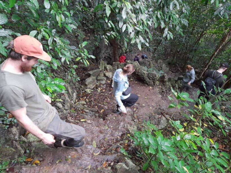 From Ninh Binh: Cuc Phuong National Park Trekking Day Tour - Final Thoughts