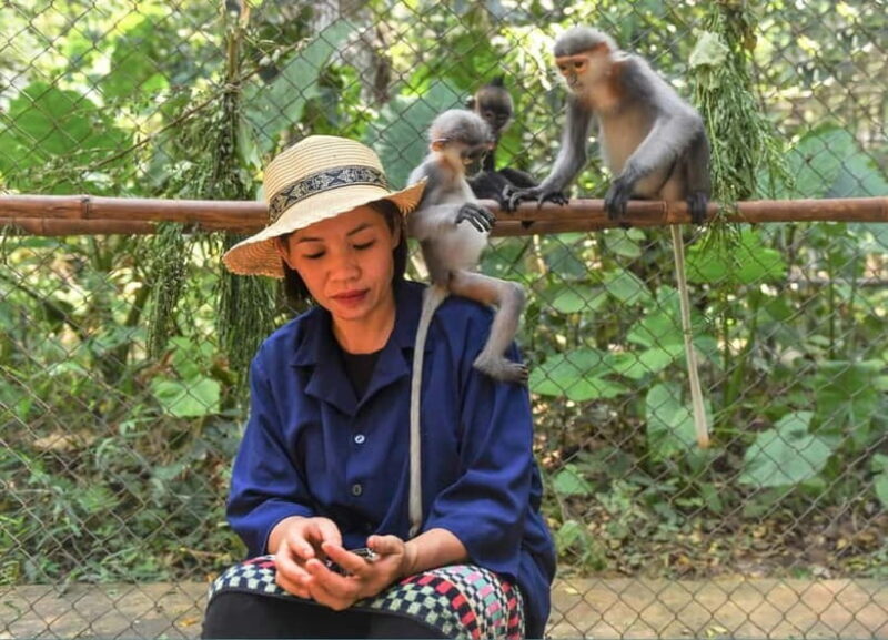From Ninh Binh: Cuc Phuong - Van Long Small Group Tours - Final Thoughts