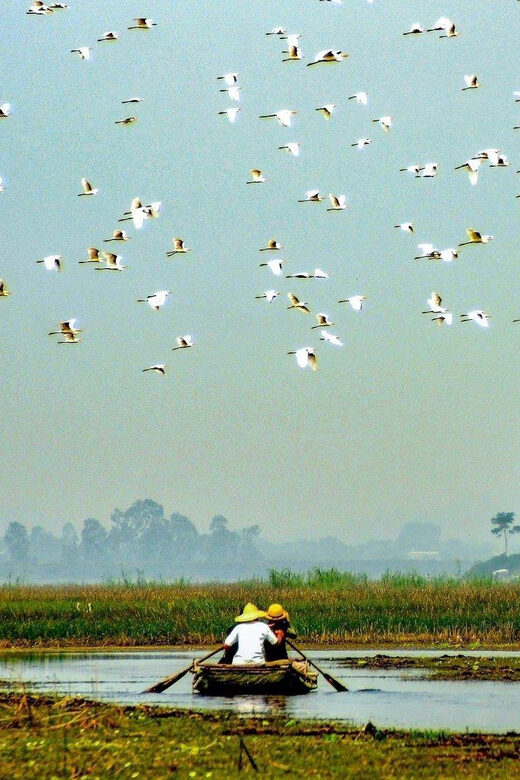 From Ninh Binh: Visit Cuc Phuong National Park - Van Long - Exploring the Route and Highlights in Detail