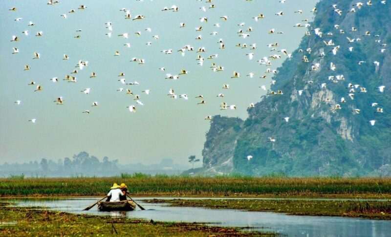 From Ninh Binh: Visit Cuc Phuong National Park - Van Long - Practical Tips for Travelers