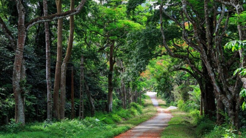 From Ninh Binh: Visit Cuc Phuong National Park - Van Long - The Sum Up