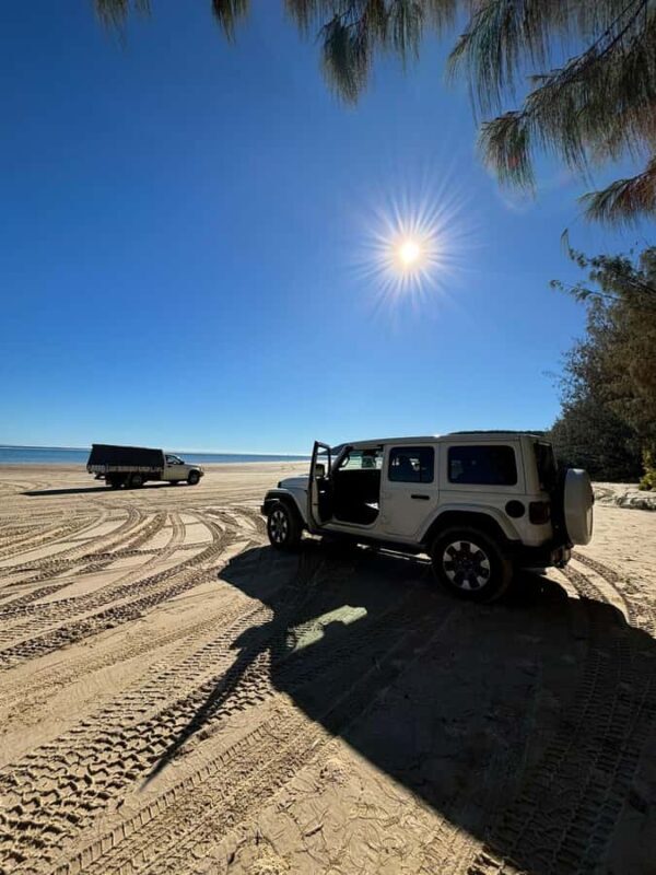 From Noosa: 4WD Beach and Walking Adventure - The Itinerary and What to Expect
