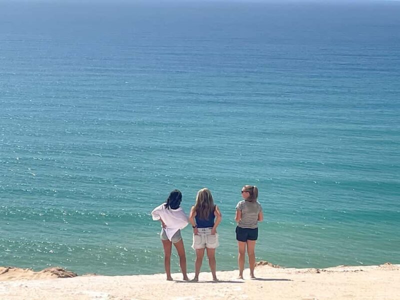 From Noosa: 4WD Beach and Walking Adventure - Who Will Love This Tour?