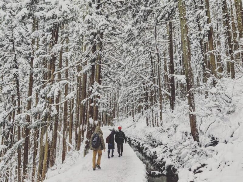 From Nozawa Onsen: Snow Monkeys and Zenko-ji Day Trip & Sake - Key Points