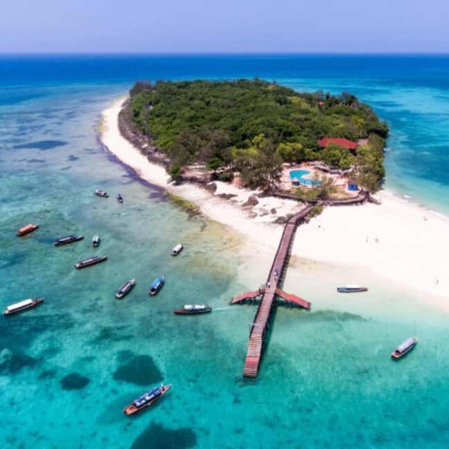FROM NUNGWI/KENDWA:STONE TOWN, PRISON ISLAND & JOZANI FOREST - Transport and Group Dynamics