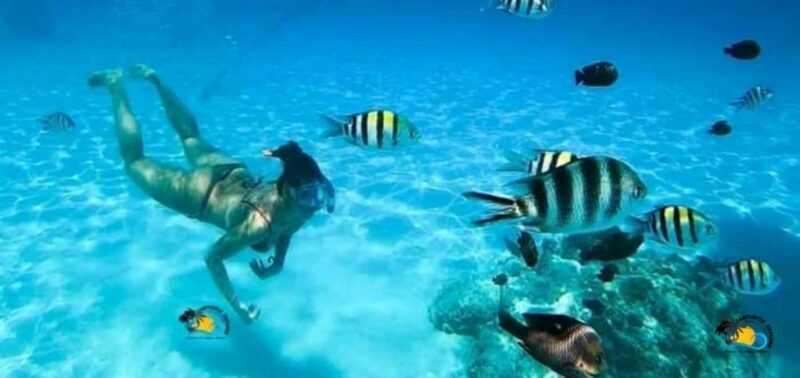 From Nungwi: Mnemba Island Dolphin Watching and Snorkeling - The Boat Ride from Nungwi