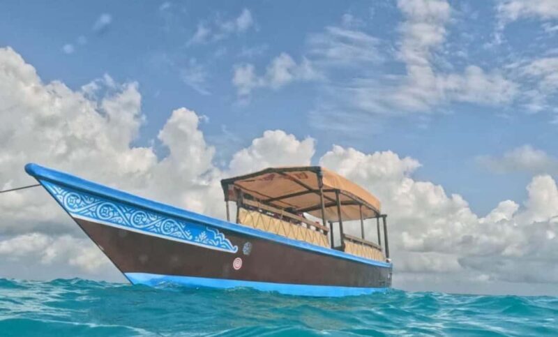 FROM NUNGWI; MNEMBA SNORKELING AND DOLPHIN TOUR - Authentic Experiences and Tips