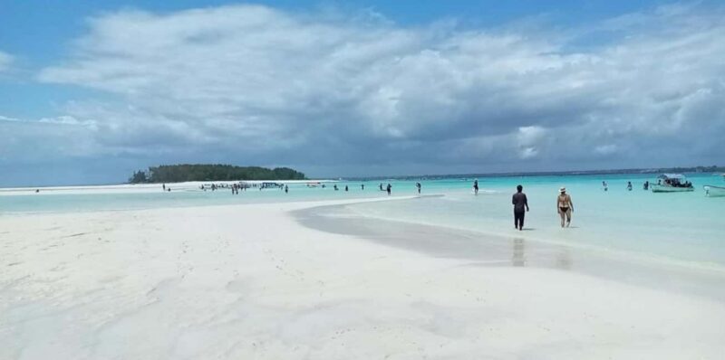 FROM NUNGWI; MNEMBA SNORKELING AND DOLPHIN TOUR - Who Should Consider This Tour?
