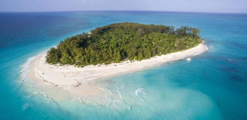 FROM NUNGWI; MNEMBA SNORKELING AND DOLPHIN TOUR - Final Words: Is This Tour Worth It?