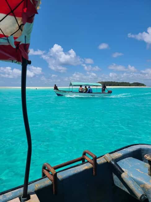 FROM NUNGWI: Mnemba snorkelling and Dolphin tour - An In-Depth Look at the Mnemba Snorkelling and Dolphin Tour