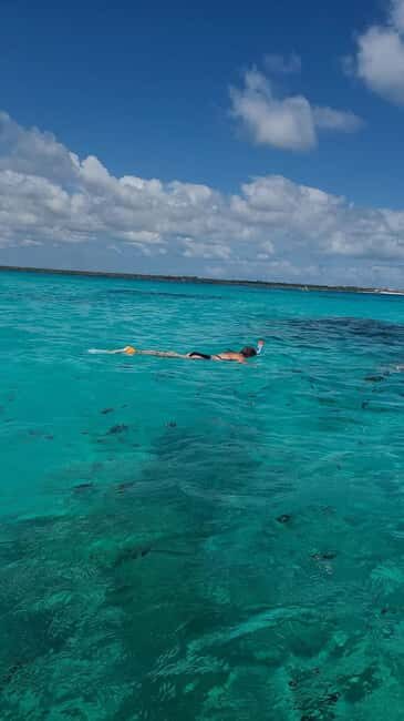 FROM NUNGWI: Mnemba snorkelling and Dolphin tour - The Sum Up: Is It Worth It?