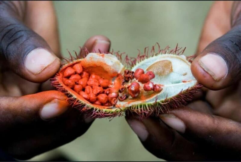 FROM NUNGWI: PRISON ISLAND, STONE TOWN AND SPICE FARM TOUR - Final Thoughts