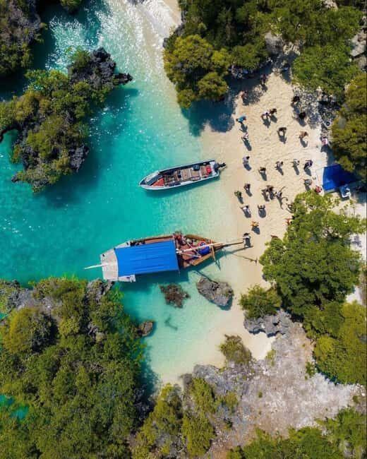 From Nungwi: Safari Blue Snorkeling Tour with Lunch - A Closer Look at the Itinerary and Highlights