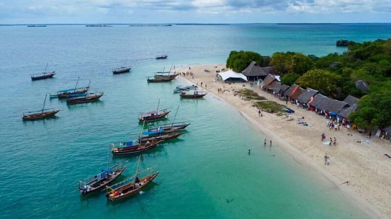 From Nungwi: Safari Blue Snorkeling Tour with Lunch - The Realities of the Tour Experience