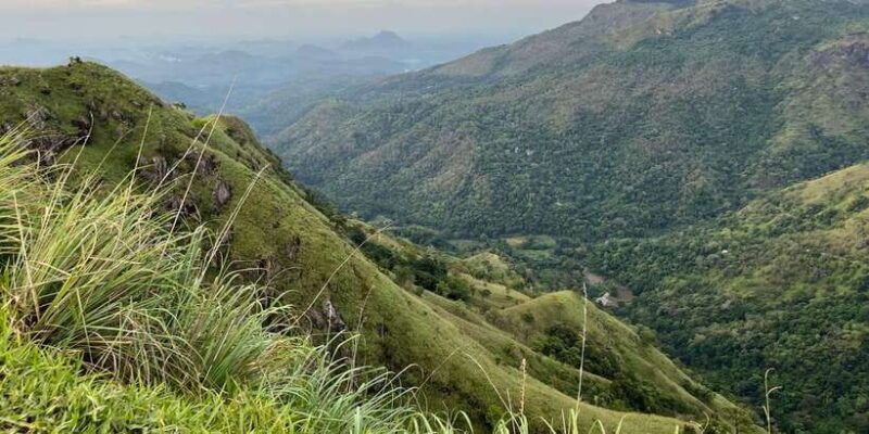 From Nuwara Eliya: Ella City Tour with Little Adam's Peak - Key Points