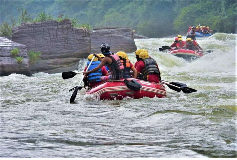 From Nuwara Eliya: White Water Rafting in Kithulgala-Private - The Thrill of the Kelani River