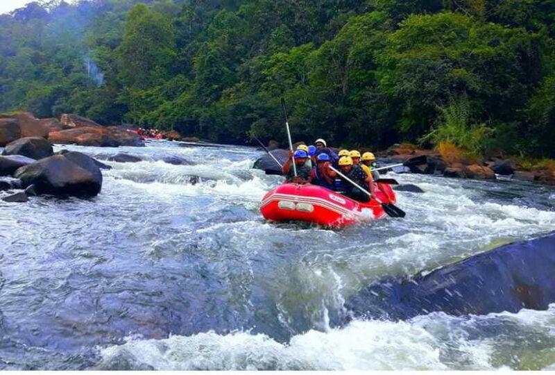 From Nuwara Eliya: White Water Rafting in Kithulgala-Private - In-Depth Breakdown of the Tour