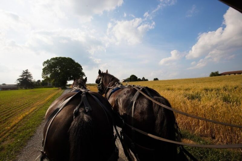 From NYC: Day Trip to Philadelphia and Amish Country - Final Thoughts: Who Should Consider This Tour?